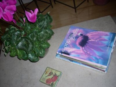 Decorate Your Outdoors! Image